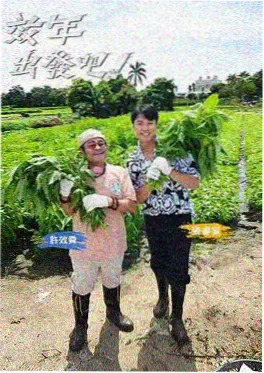 画骨成衣古装悬疑短剧封面